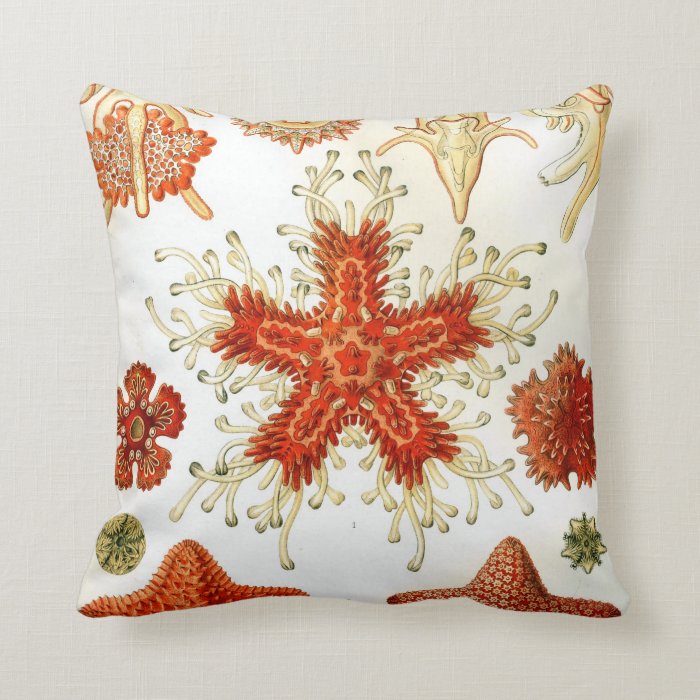 Common Starfish Designs Pillow