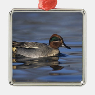 Common Teal, Anus crecca, male, Unterlunkhofen, Metal Ornament