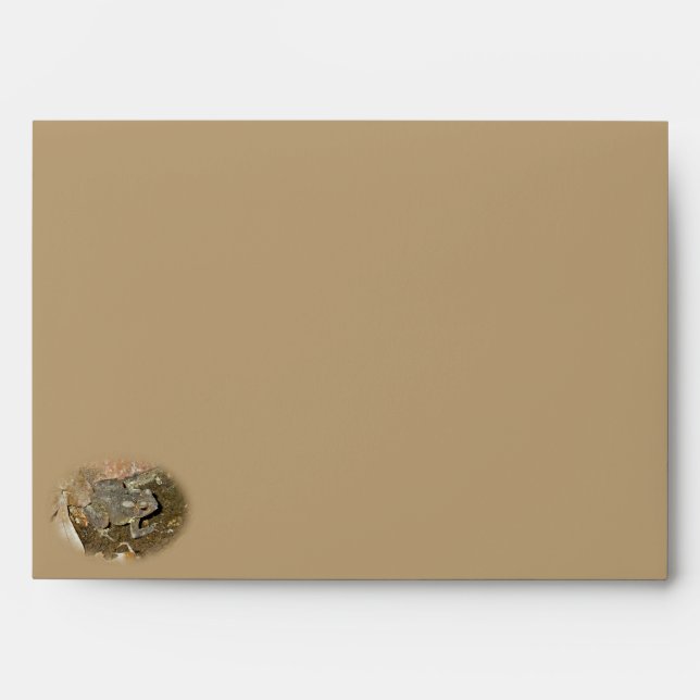 Common Toad Coordinating Items Envelope (Front)