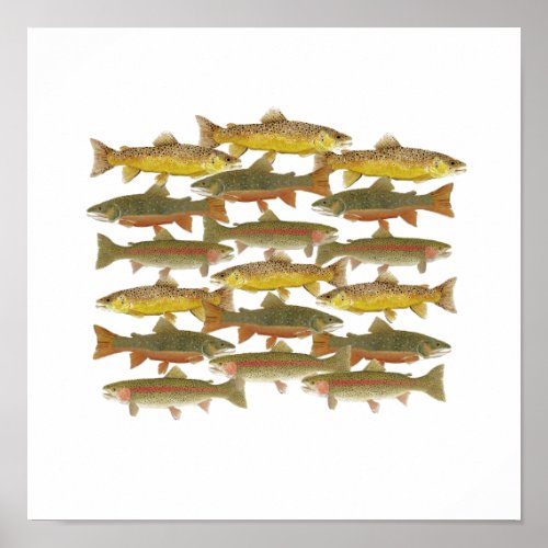 Common Trout Art Poster