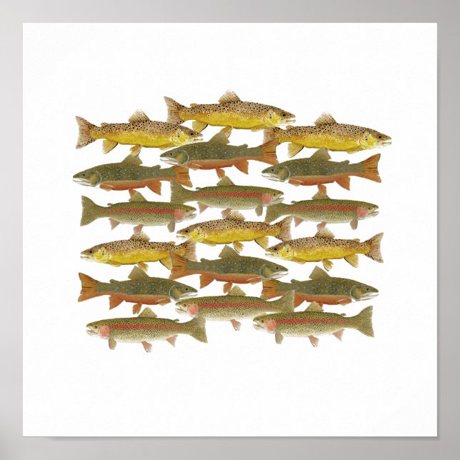 Common Trout Art Poster (Front)