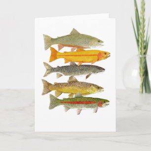 Common Trout Species of the Mid-Atlantic Region Card