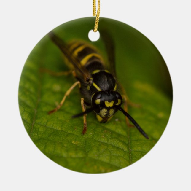 Common Wasp Ceramic Ornament (Front)