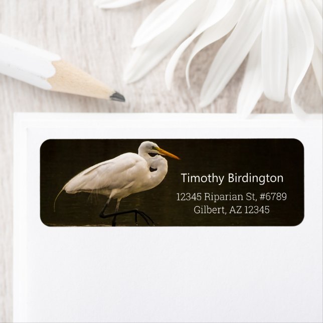 Common White Great Egret Bird Reflection In Water Label (Insitu)