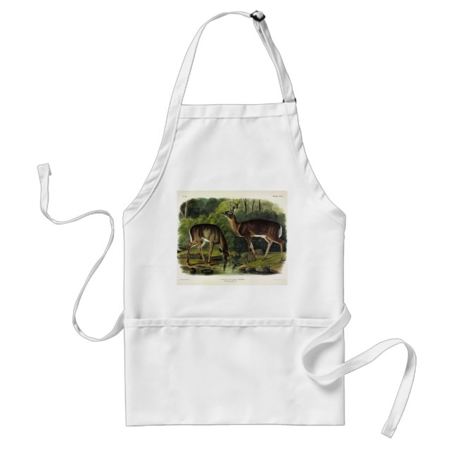 Common (White-tailed) Deer - Audubon's Quadrupeds Adult Apron (Front)