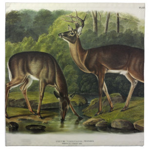 Common (White-tailed) Deer - Audubon's Quadrupeds Cloth Napkin