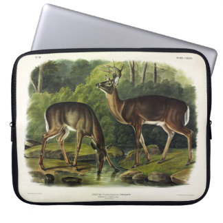 Common (White-tailed) Deer - Audubon's Quadrupeds Laptop Sleeve