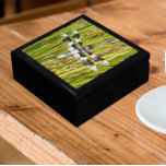 Common Whitetail Dragonfly Photo Gift Box<br><div class="desc">For nature lovers! Store trinkets,  jewelry and other small keepsakes in this wooden gift box with ceramic tile featuring the photo image of a Common Whitetail dragonfly,  also known as a Long-tailed Skimmer. Select your gift box size and color. Makes an great gift for those who collect dragonflies!</div>