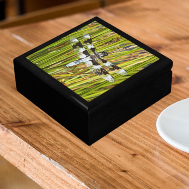 Common Whitetail Dragonfly Photo Gift Box (In Situ Angled)