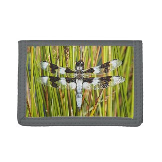 Common Whitetail Dragonfly Photo Trifold Wallet