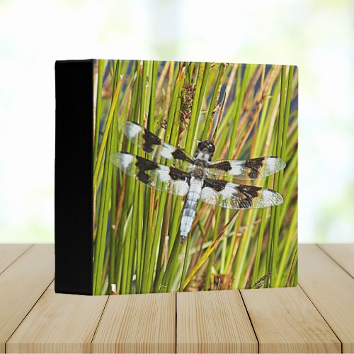 Common Whitetail Skimmer Dragonfly Photo 3 Ring Binder