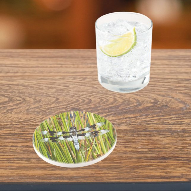 Common Whitetail Skimmer Dragonfly Photo Coaster (In Situ)