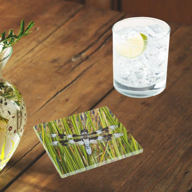 Common Whitetail Skimmer Dragonfly Photo Glass Coaster (In Situ Glass)