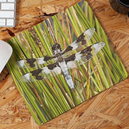 Common Whitetail Skimmer Dragonfly Photo Mouse Pad