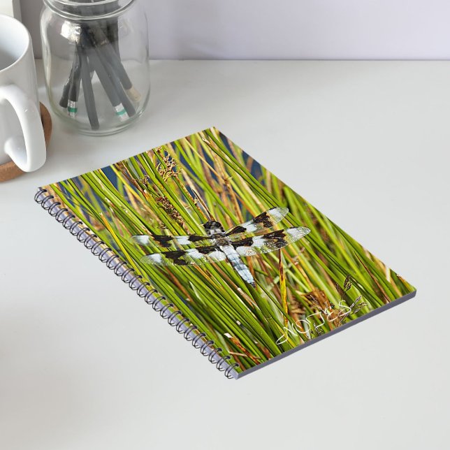 Common Whitetail Skimmer Dragonfly Photo Notebook (In Situ)