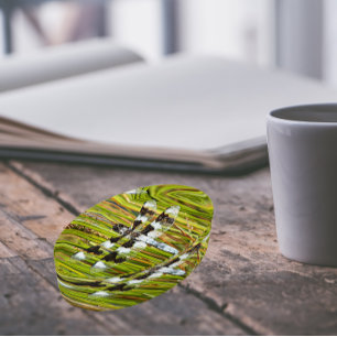 Common Whitetail Skimmer Dragonfly Photo Paperweight