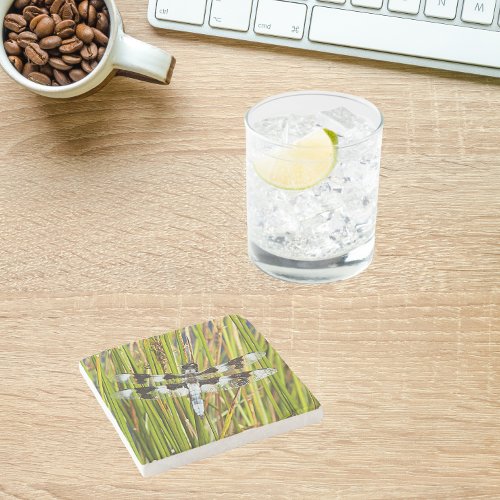 Common Whitetail Skimmer Dragonfly Photo Stone Coaster