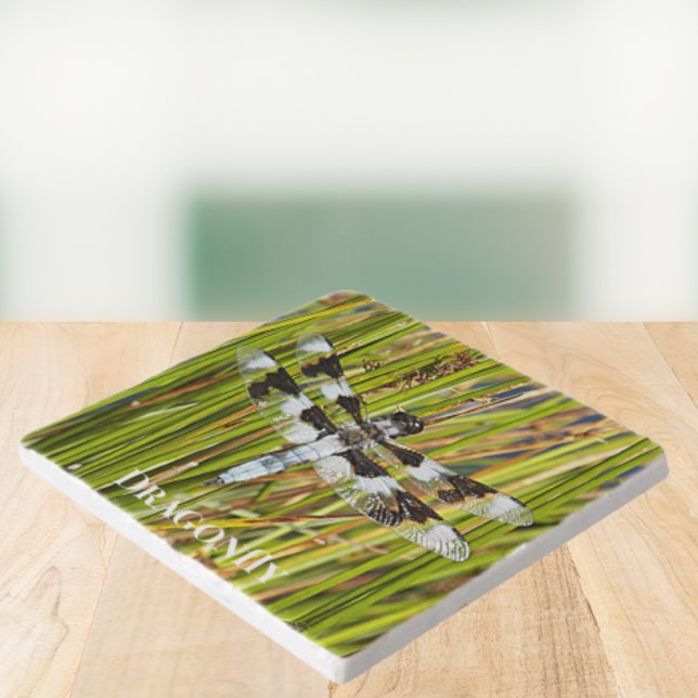 Common Whitetail Skimmer Dragonfly Photo Trivet (In Situ Angled)