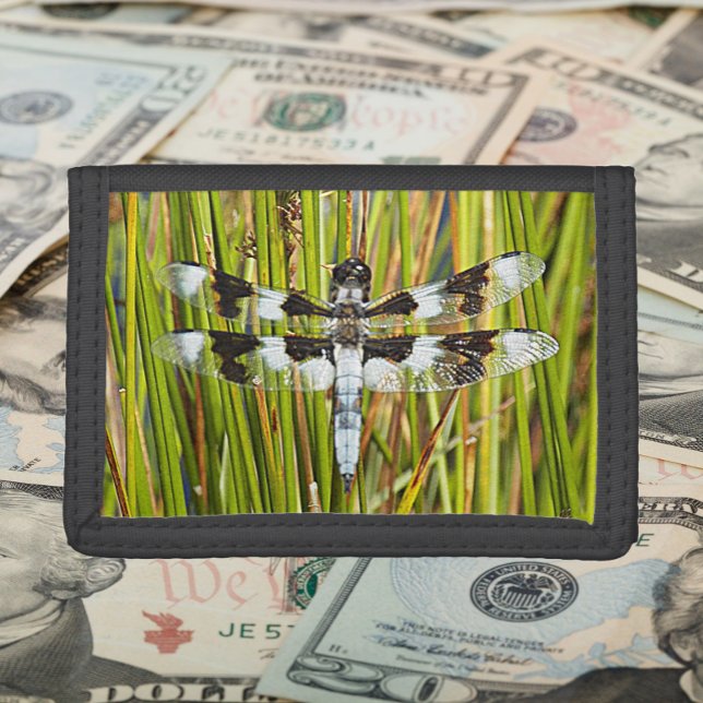 Common Whitetail Skimmer Dragonfly Trifold Wallet (In Situ)