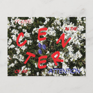 Common Yarrow & Grape Hyacinth Message Postcard