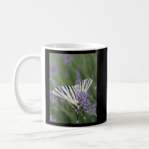 Common Yellow Swallowtail Feeding On Lavender Phot Coffee Mug