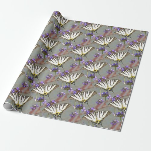 Common Yellow Swallowtail On Lilac Flowers Black O Wrapping Paper