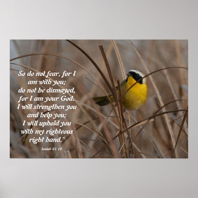 Common Yellowthroat Bird Isaiah 41:10 Print (Front)