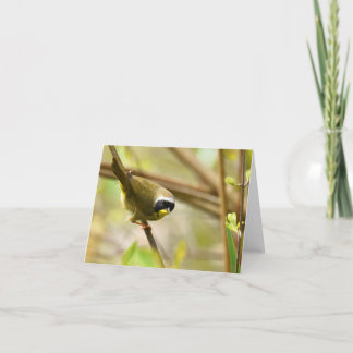 Common Yellowthroat - Blank Note Card