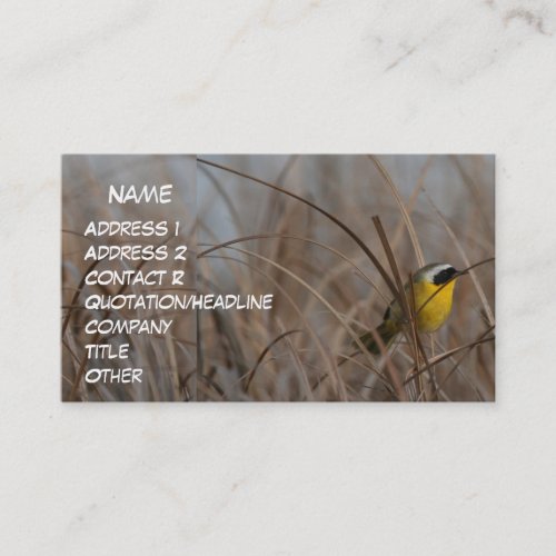 Common Yellowthroat Business Card