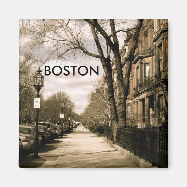 Commonwealth Avenue Neighborhood (sepia) Magnet (Front)