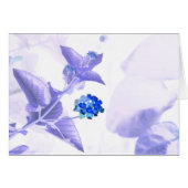 Communication GC (Front Horizontal)