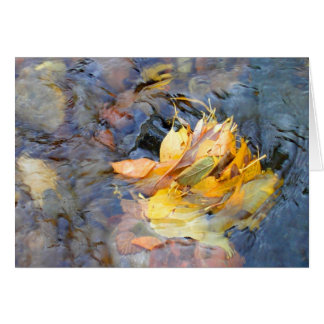 Community by Cynthia Wenslow Cards