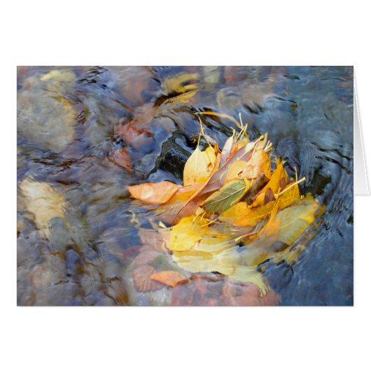 Community by Cynthia Wenslow Cards (Front Horizontal)