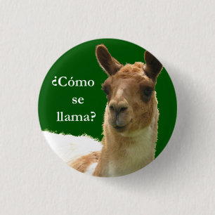 Cómo se llama? button