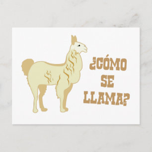 Como Se Llama? What is your name? Postcard