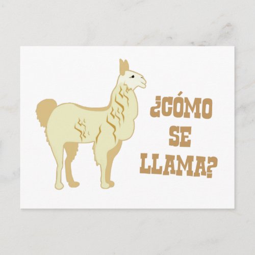 Como Se Llama  What is your name Postcard