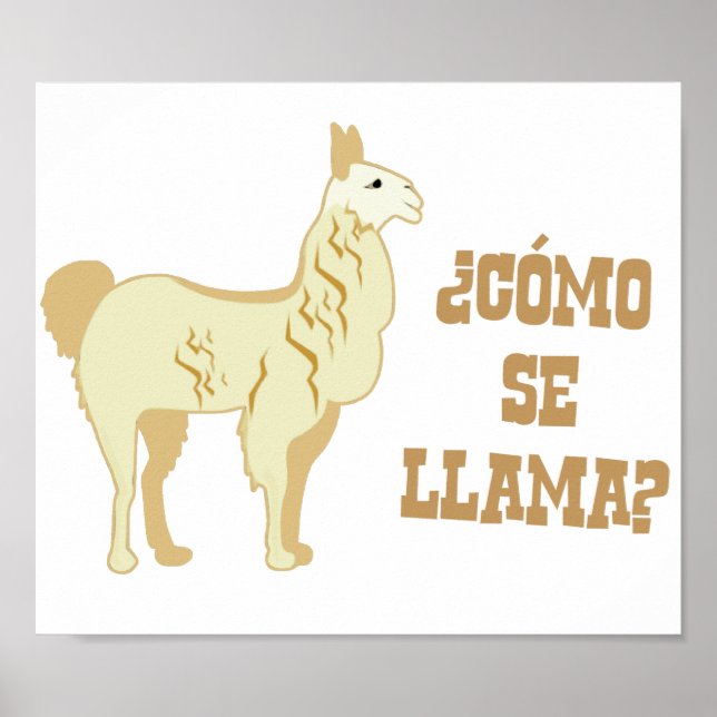 Como Se Llama?  What is your name? Poster (Front)