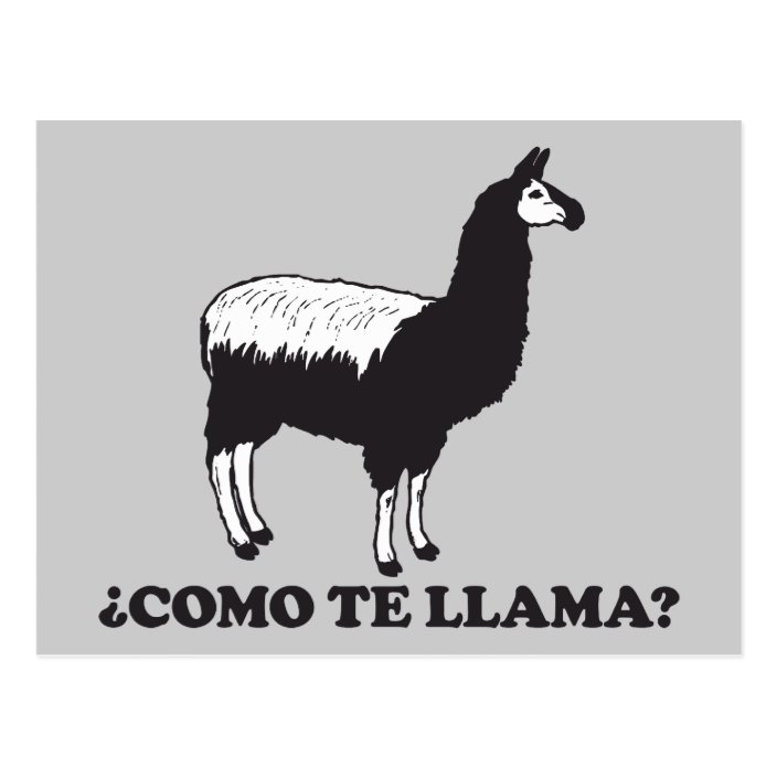 Como Te Llama Postcard | Zazzle.com