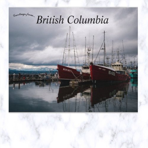 Comox Municipal Marina British Columbia Canada Postcard