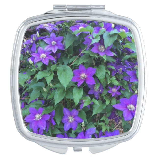 compact mirror (Front)