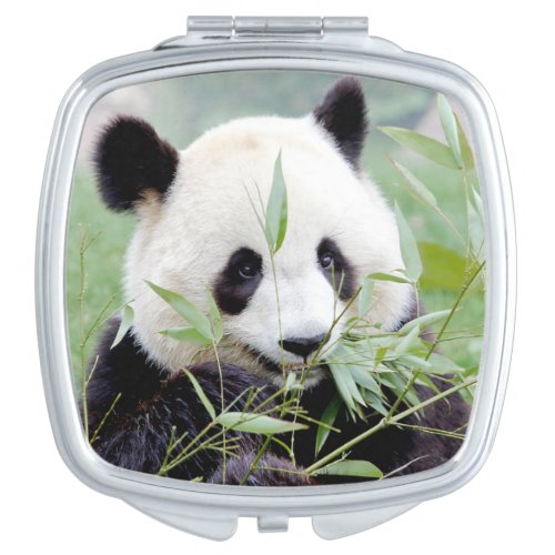 Compact Mirror Photo giant panda  animals 0137