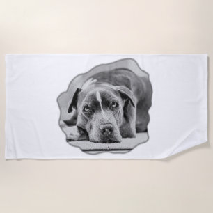Companion in Calm Beach Towel