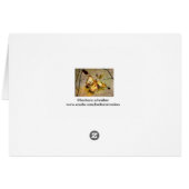 companionship  ( three pears) cards (Back Horizontal)