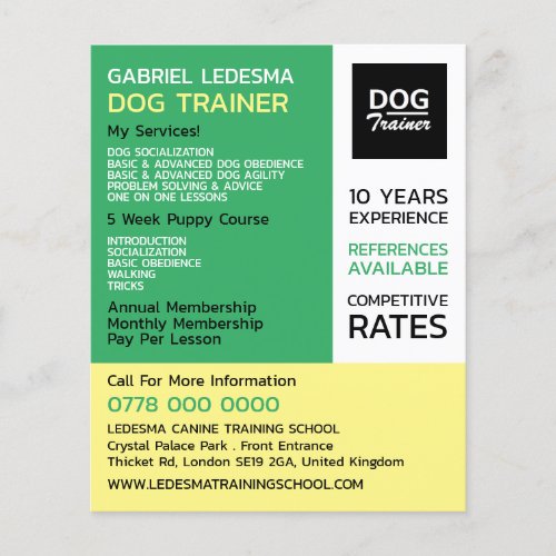 Company Logo Dog Trainer Advertising Flyer