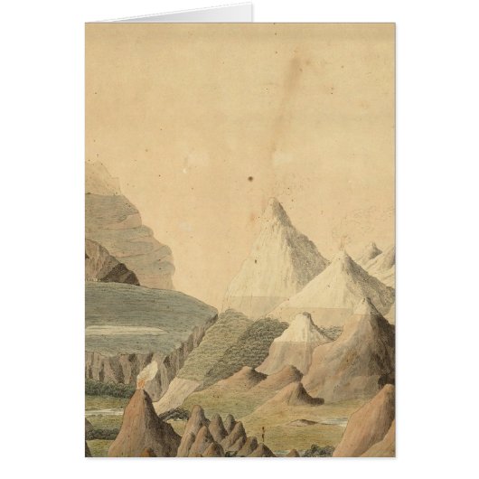 Comparative View Cards (Front)