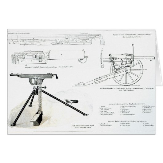 Comparison of the Colt Automatic Gun Cards (Front Horizontal)