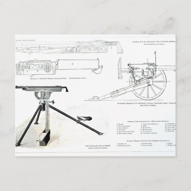 Comparison of the Colt Automatic Gun Postcard (Front)