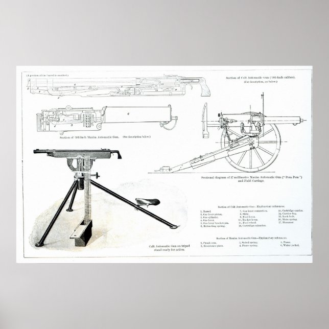 Comparison of the Colt Automatic Gun Poster (Front)