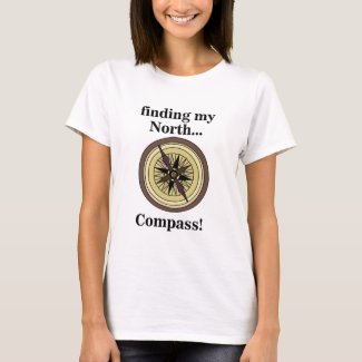 Compass Instrument Navigation Direction Funny T-Shirt
