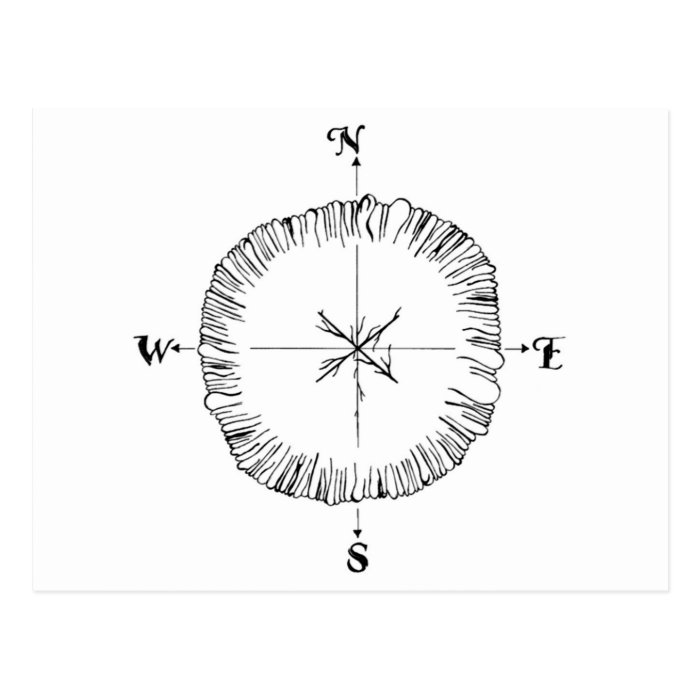 Compass Post Card